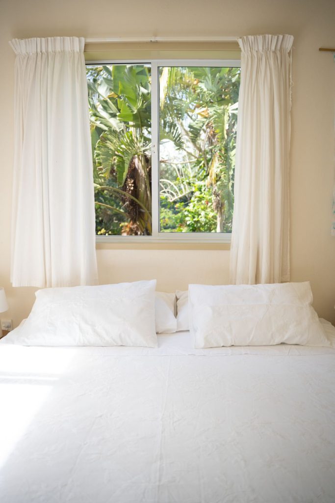 Bed beneath a window framed by palms